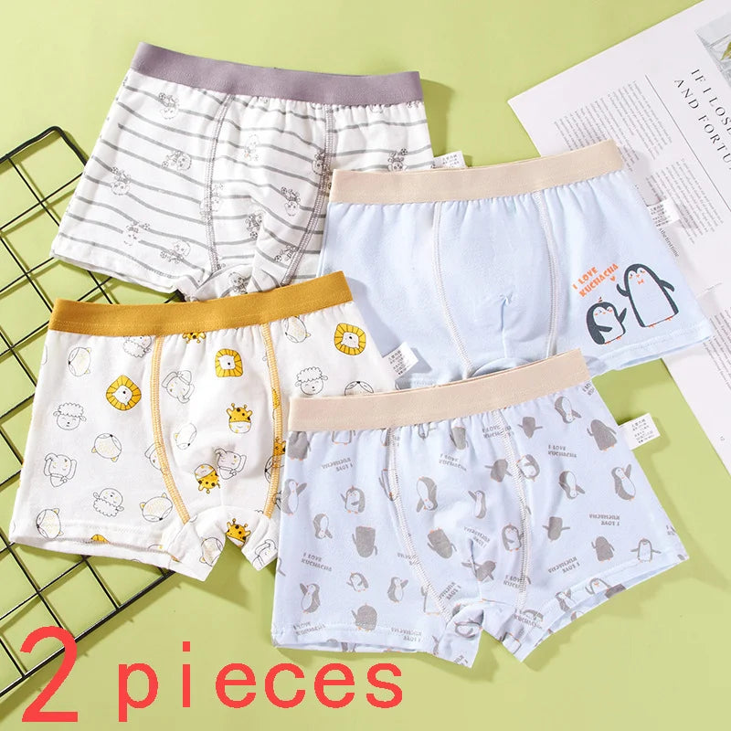 S2431d108ac154722854247c19a6a4996C