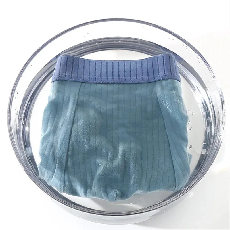 S48d8cbc29a1943608fd975772b129e14b