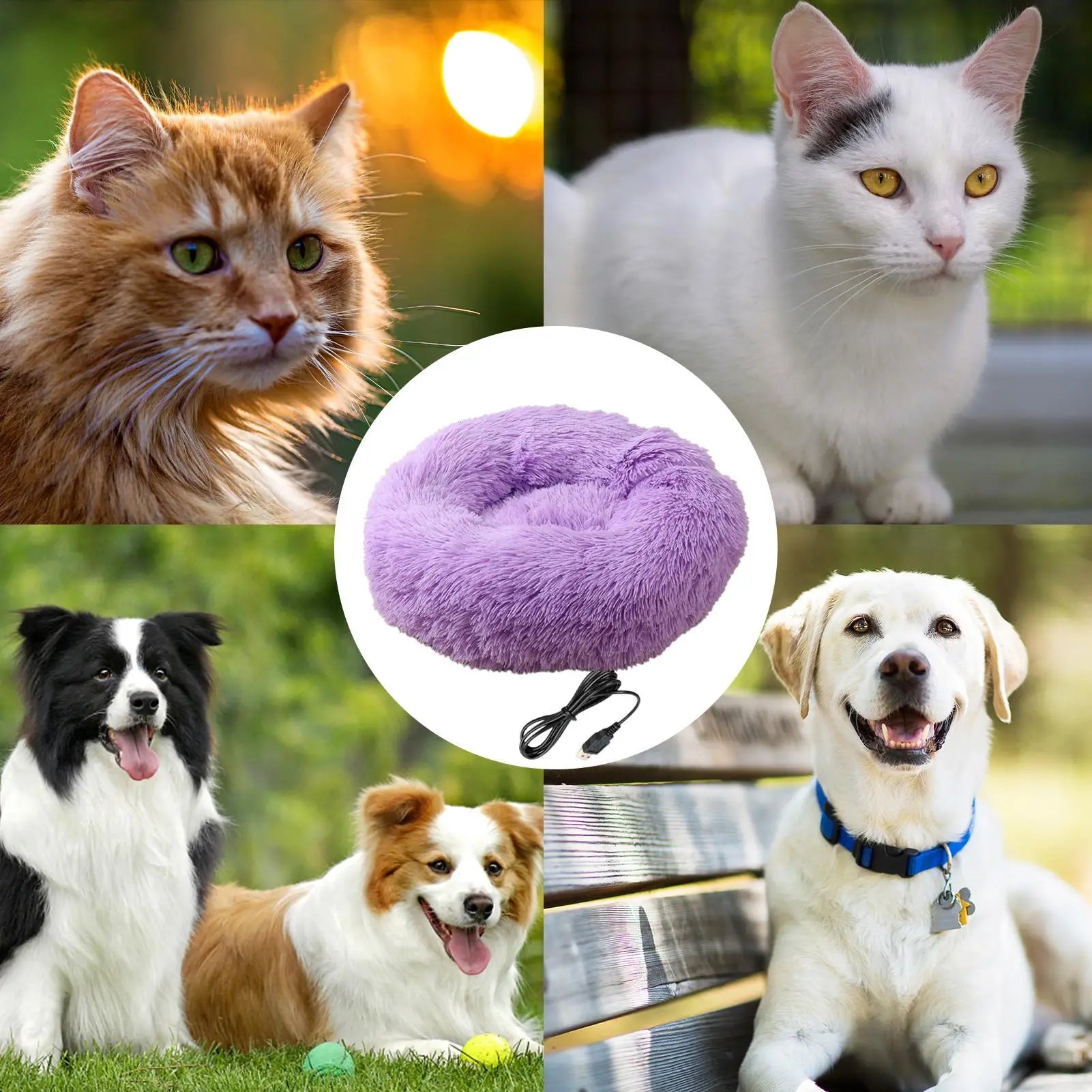 S54799d2f50334ed5bb647f78bd70ba00s