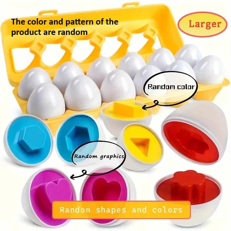 Jouet d'Association Couleurs & Formes – Œufs Simulés Géométriques avec Boîte de Rangement